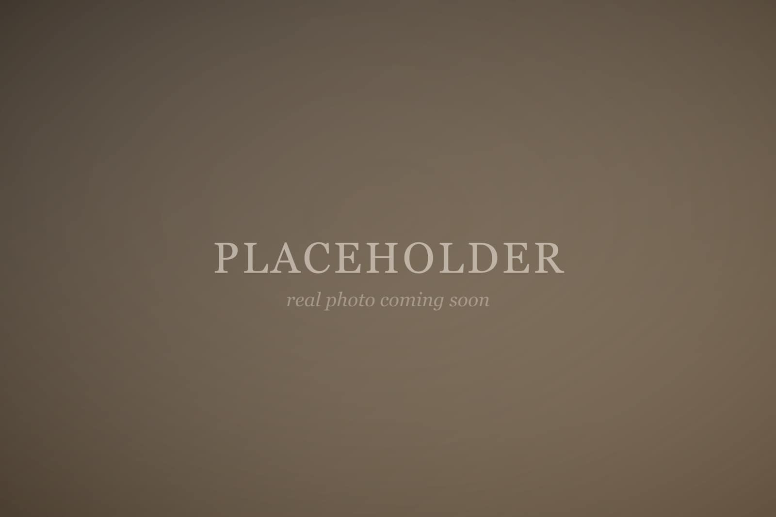 Placeholder — warm umber gradient card