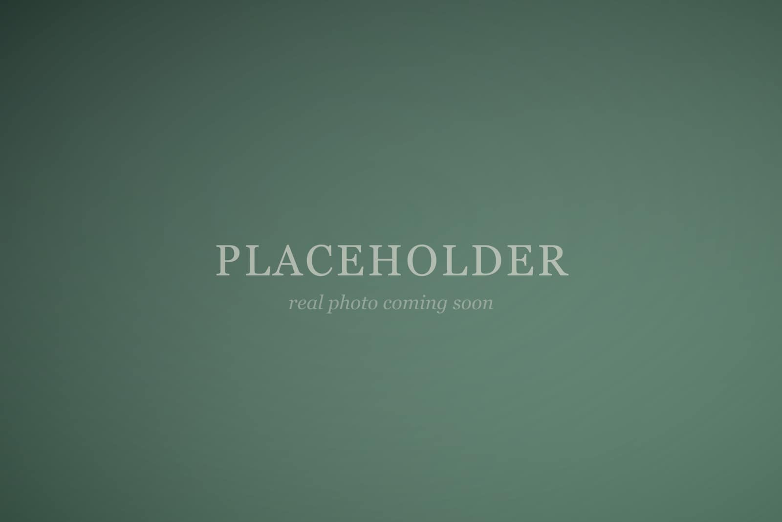 Placeholder — pine gradient card